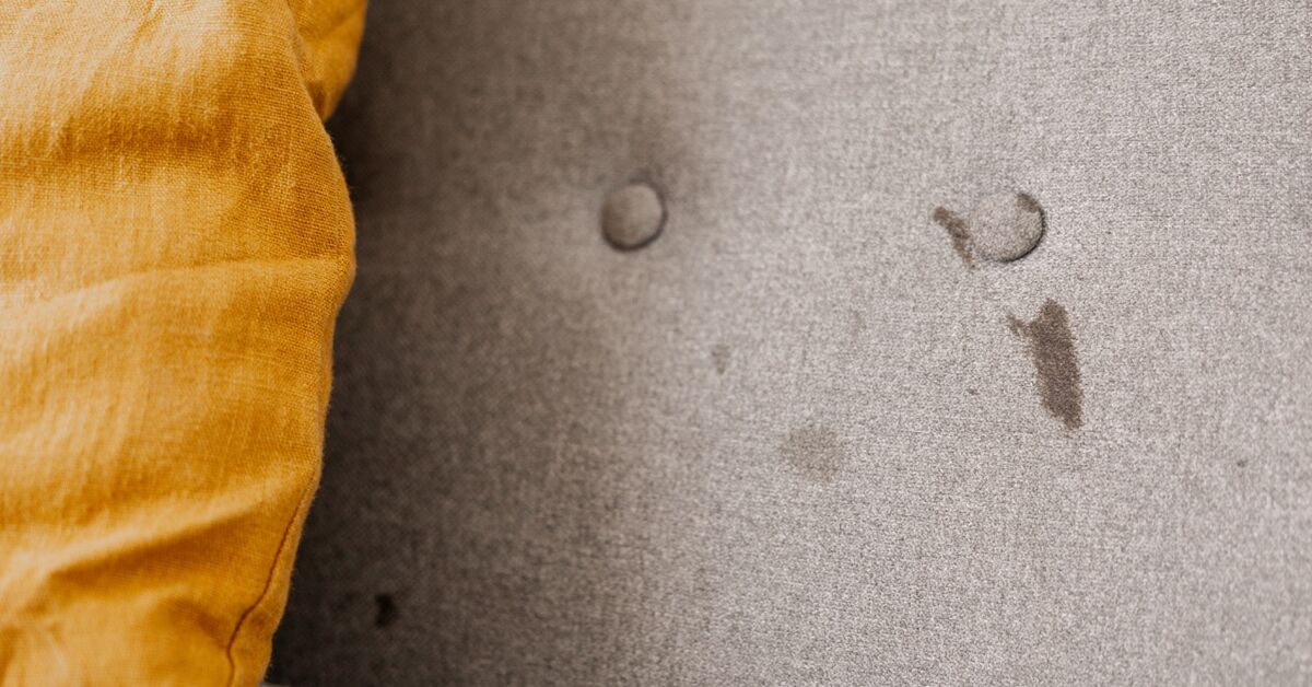 Coffee mark on upholstered chair