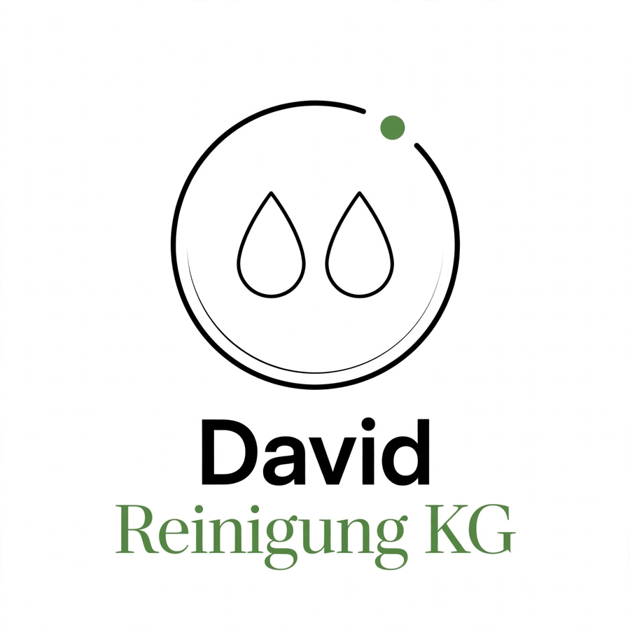 David Reinigung logo