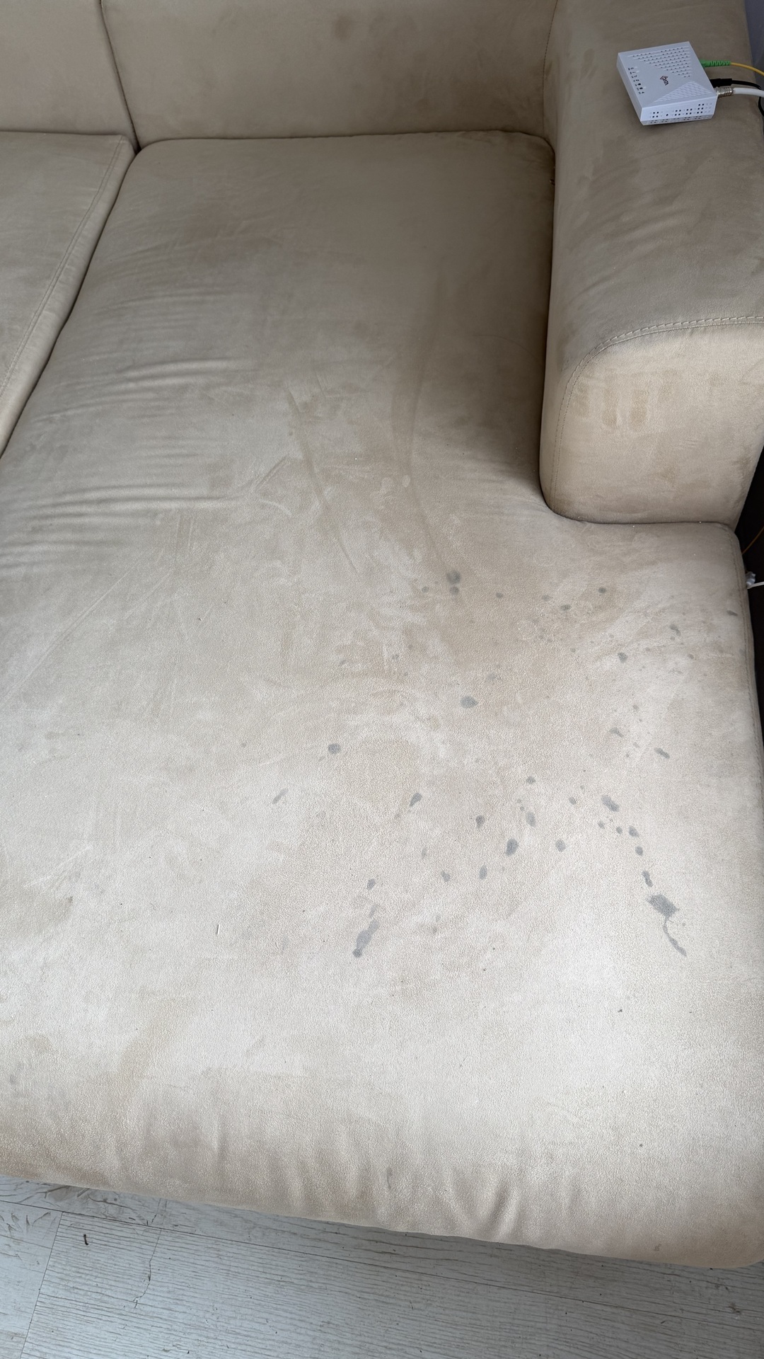Before photo for Couch reinigen
