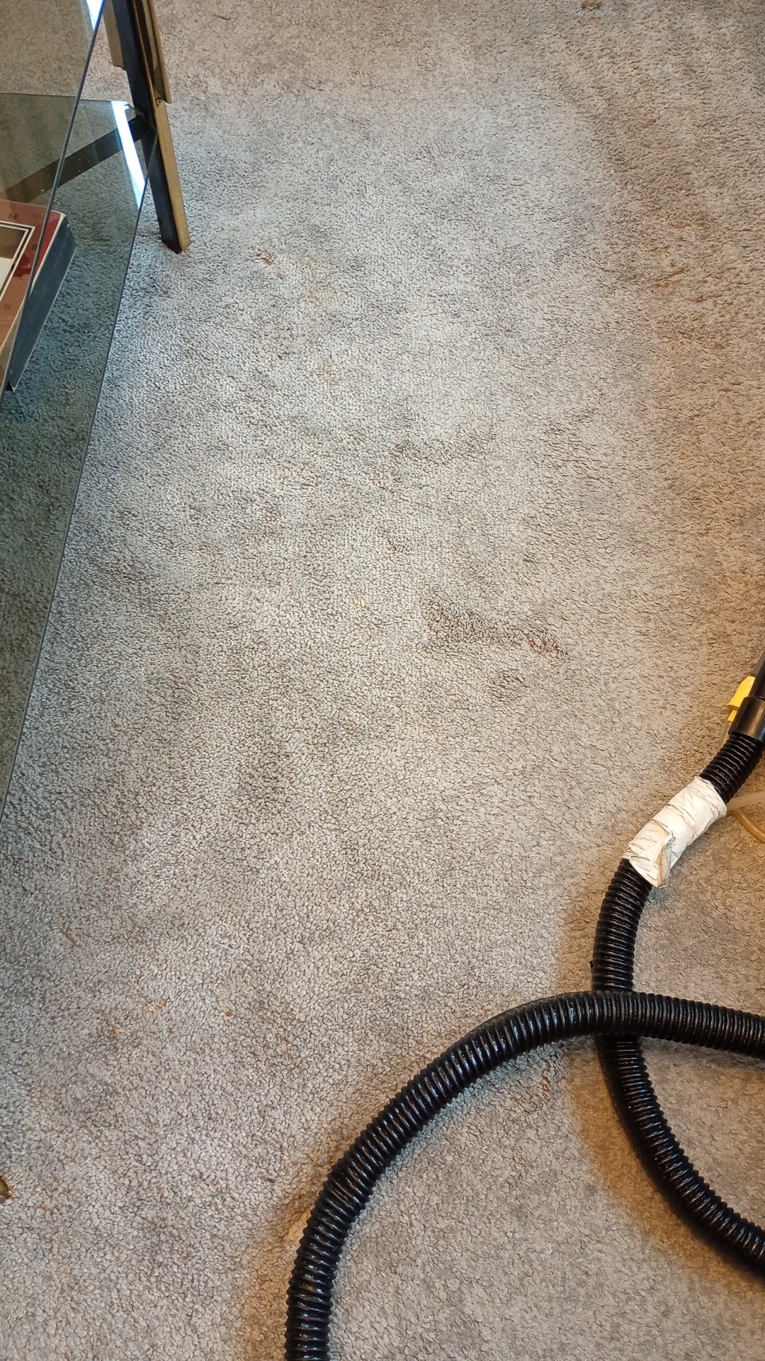 Before photo for Couch reinigen