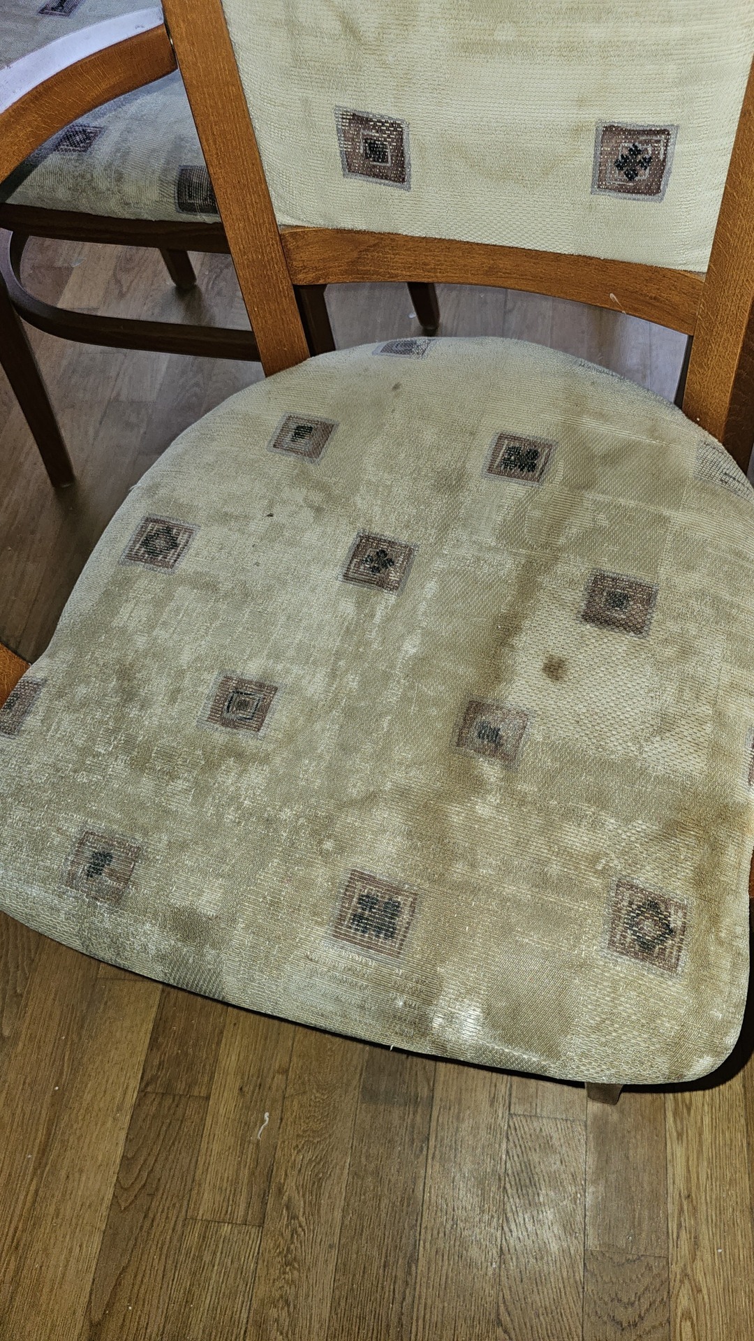 Before photo for Couch reinigen