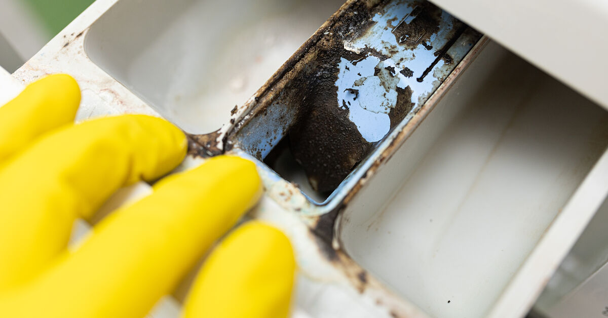 Black buildup in washing machine dispenser